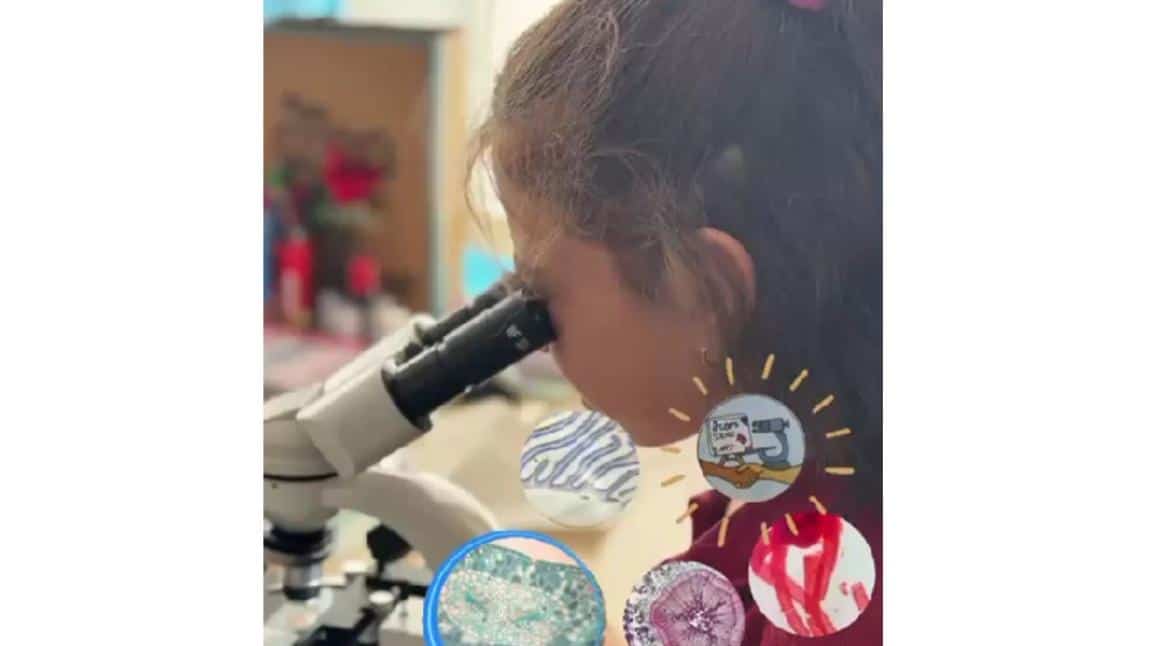 From Science to Art e-Twinning Projesi