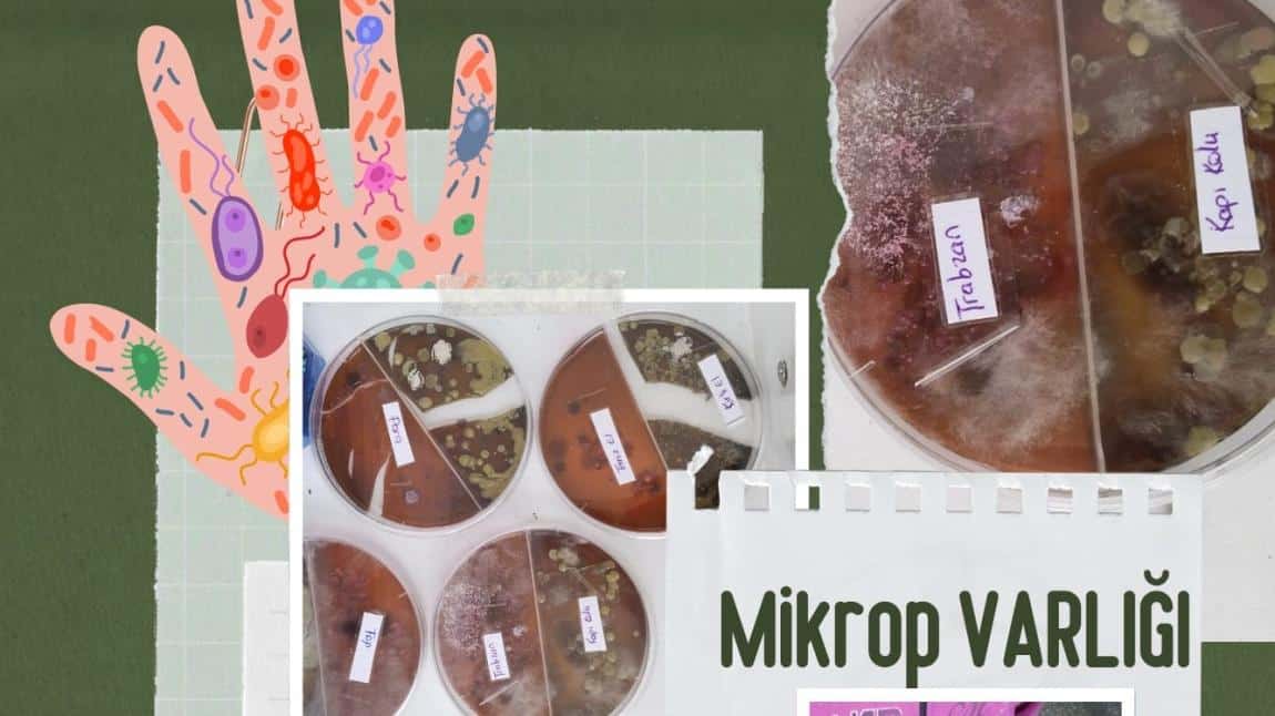 From Science to Art Mikrop Varlığına Şahidiz